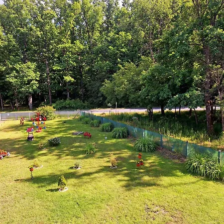 Forest * Bosanska Gradiska